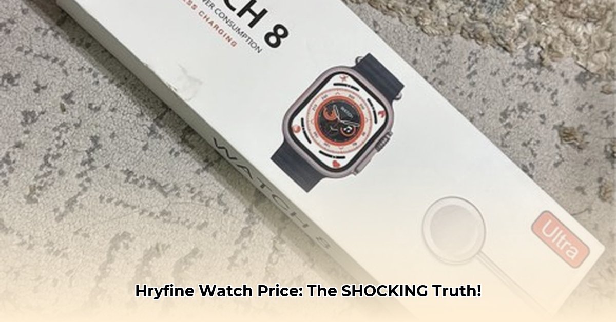 hryfine-watch-price